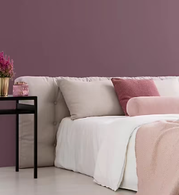 Testeur peinture Tollens premium murs, boiseries et radiateurs la belle époque mat 50ml