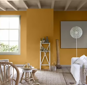 Peinture couleur murs, boiseries et radiateurs Crème de couleur Dulux Valentine jaune miel mat velouté 2,5L