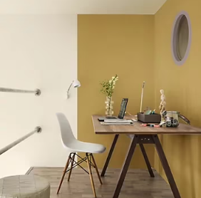 Peinture intérieure couleur Crème De Couleur Dulux Valentine mat jaune ocre doré 2.5L