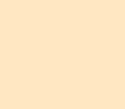 Peinture Crème de Couleur Dulux Valentine satin coquille d'oeuf 0,5L