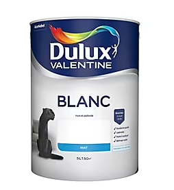 Peinture murs et plafonds phase aqueuse Dulux Valentine mat blanc 5L