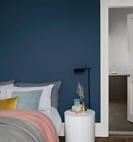 Peinture couleur murs, boiseries et radiateurs Crème de couleur Dulux Valentine bleu paon mat 1,25L
