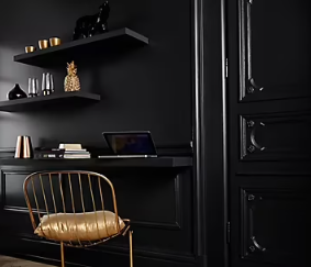 Testeur peinture résistante murs, boiseries et métal GoodHome noir Liberty mat 50ml