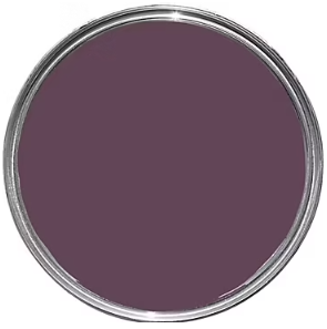 Testeur peinture murs et boiseries Tollens prune de saison satin 50ml