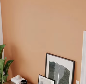 Peinture intérieure couleur murs, boiseries et radiateurs GoodHome satin bilbao marron 750ml