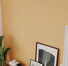 Peinture intérieure couleur murs, boiseries et radiateurs GoodHome satin cádiz orange 2.5L
