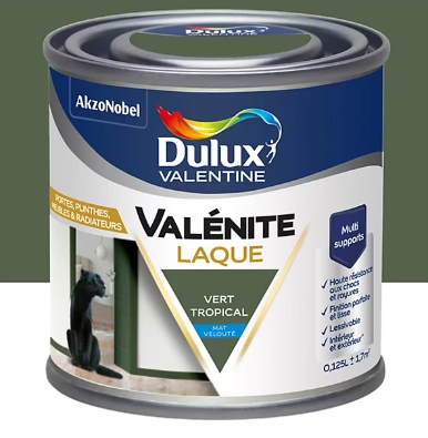 Laque acrylique Valénite Dulux Valentine vert tropical mat velouté 0,125L