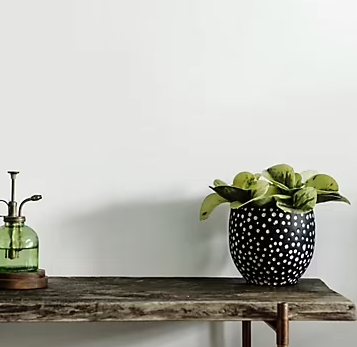 Peinture murs et plafonds Biorigine Tollens velours blanc végétal 2L