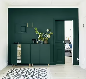 Peinture couleur murs, boiseries et radiateurs Crème de couleur Dulux Valentine vert eucalyptus mat 1,25L