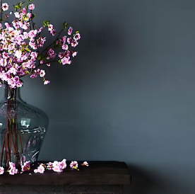 Peinture murs et boiseries Naturéa par GoodHome nuit d'été velours 0.5L