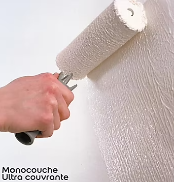 Peinture murs plafonds et boiseries Dulux Valentine 98% monocouche satin blanc 10L