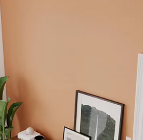 Peinture intérieure couleur murs, boiseries et radiateurs GoodHome mat bilbao marron 2.5L