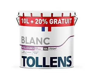 Peinture bicouche murs et plafonds velours blanc Tollens 10L+20% gratuit