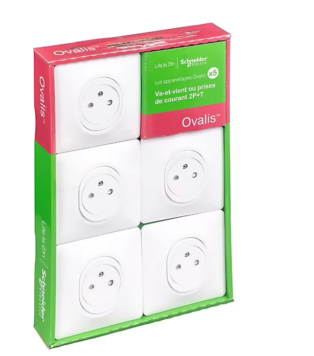 5 prises affleurantes Ovalis B 2 ports avec terre Schneider Electric