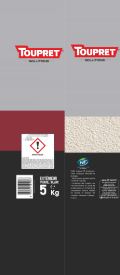 Enduit de rebouchage en poudre Repar'façade TOUPRET blanc 5 kg
