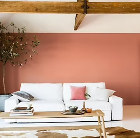 Peinture couleur murs, boiseries et radiateurs Crème de couleur Dulux Valentine rose cuivré satin 2,5L