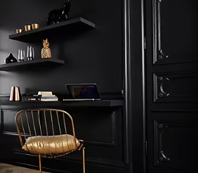 Peinture intérieure couleur murs, boiseries et radiateurs GoodHome satin liberty noir 2.5L