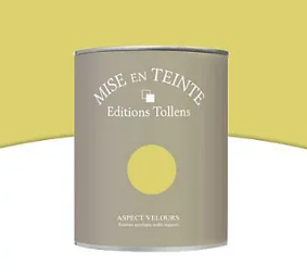 Peinture murs et boiseries Tollens Mise en teinte palmier mat velours 1L