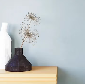Peinture murs et boiseries Naturéa par GoodHome kaolin velours 2L