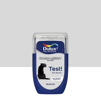 Testeur de peinture Color Resist cuisine Dulux Valentine mat gris tendre 30ml