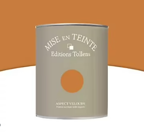 Peinture murs et boiseries Tollens Mise en teinte cuir mat velours 1L