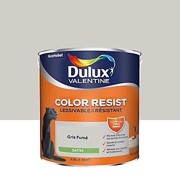 Peinture murs et boiseries Color Resist Dulux Valentine satin gris fumé 2,5L