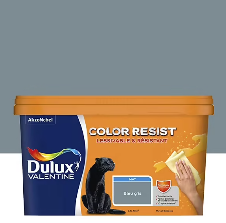 Peinture couleur murs et boiseries color resist Dulux Valentine bleu gris mat 2,5L