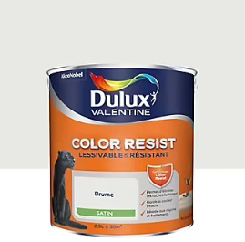 Peinture murs et boiseries Color Resist Dulux Valentine satin brume 2,5L