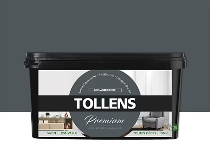 Peinture Tollens premium murs, boiseries et radiateurs gris anthracite satin 2,5L