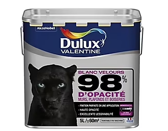 Peinture murs plafonds et boiseries Dulux Valentine 98% monocouche velours blanc 5L