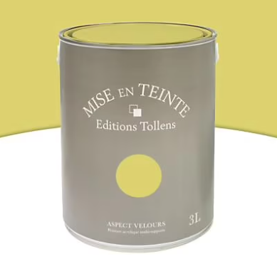 Peinture murs et boiseries Tollens Mise en teinte palmier mat velours 3L
