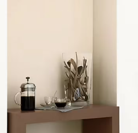 Peinture murs et boiseries Tollens Mise en teinte havane mat velours 1L