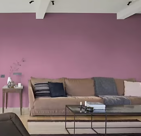 Peinture couleur murs, boiseries et radiateurs Crème de couleur Dulux Valentine figue mat 1,25L
