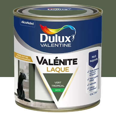 Laque acrylique Valénite Dulux Valentine vert tropical satin 500ml