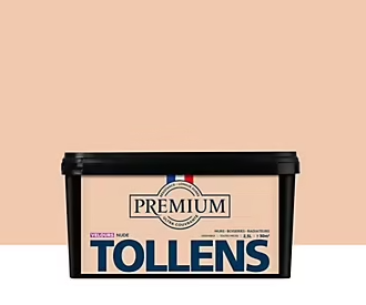 Peinture Tollens premium murs, boiseries et radiateurs rose nude velours 2,5L