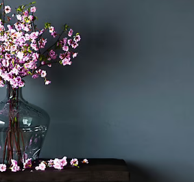 Peinture murs et boiseries Naturéa par GoodHome nuit d'été velours 2L