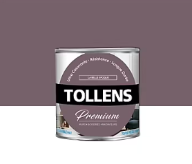 Peinture Tollens premium murs, boiseries et radiateurs la belle époque mat 0,75L