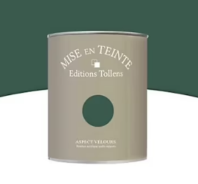 Peinture murs et boiseries Tollens Mise en teinte amazone mat velours 1L
