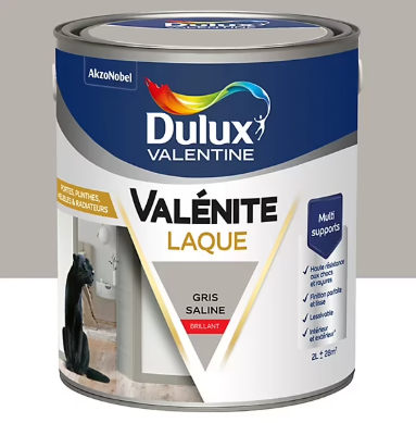 Laque Valénite Dulux Valentine Acrylique brillant blanc gris saline 2L