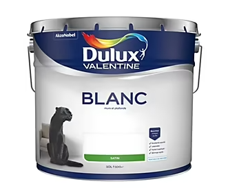 Peinture murs et plafonds phase aqueuse Dulux Valentine satin blanc 10L