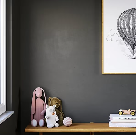 Peinture intérieure couleur murs, boiseries et radiateurs GoodHome mat louisville gris 750ml