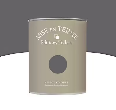 Peinture murs et boiseries Tollens Mise en teinte zinc mat velours 1L