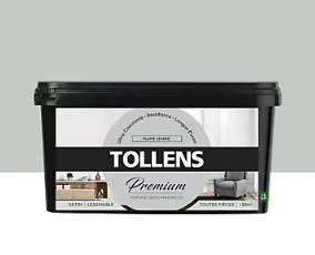 Peinture Tollens premium murs, boiseries et radiateurs plume légère satin 2,5L