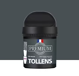 Peinture Tollens premium murs, boiseries et radiateurs gris ardoise velours 50ml