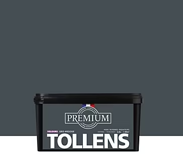Peinture Tollens premium murs, boiseries et radiateurs gris ardoise velours 2,5L