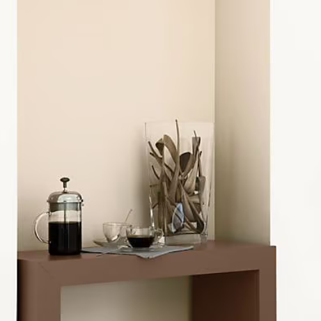 Peinture murs et boiseries Tollens Mise en teinte havane mat velours 3L