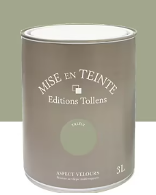 Peinture Tollens Mise en teinte murs, meubles et boiseries vert tilleul 3L