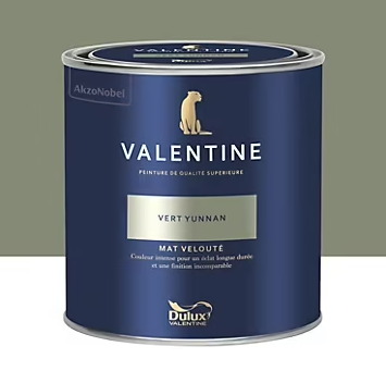 Peinture Valentine murs et boiseries Dulux Valentine vert yunnan velouté mat 0,5L