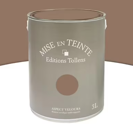 Peinture murs et boiseries Tollens Mise en teinte havane mat velours 3L