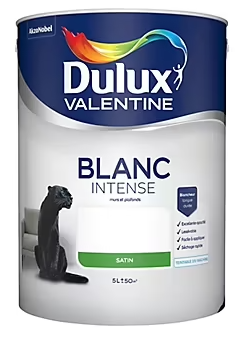 Peinture murs et plafonds phase aqueuse Dulux Valentine satin blanc 5L